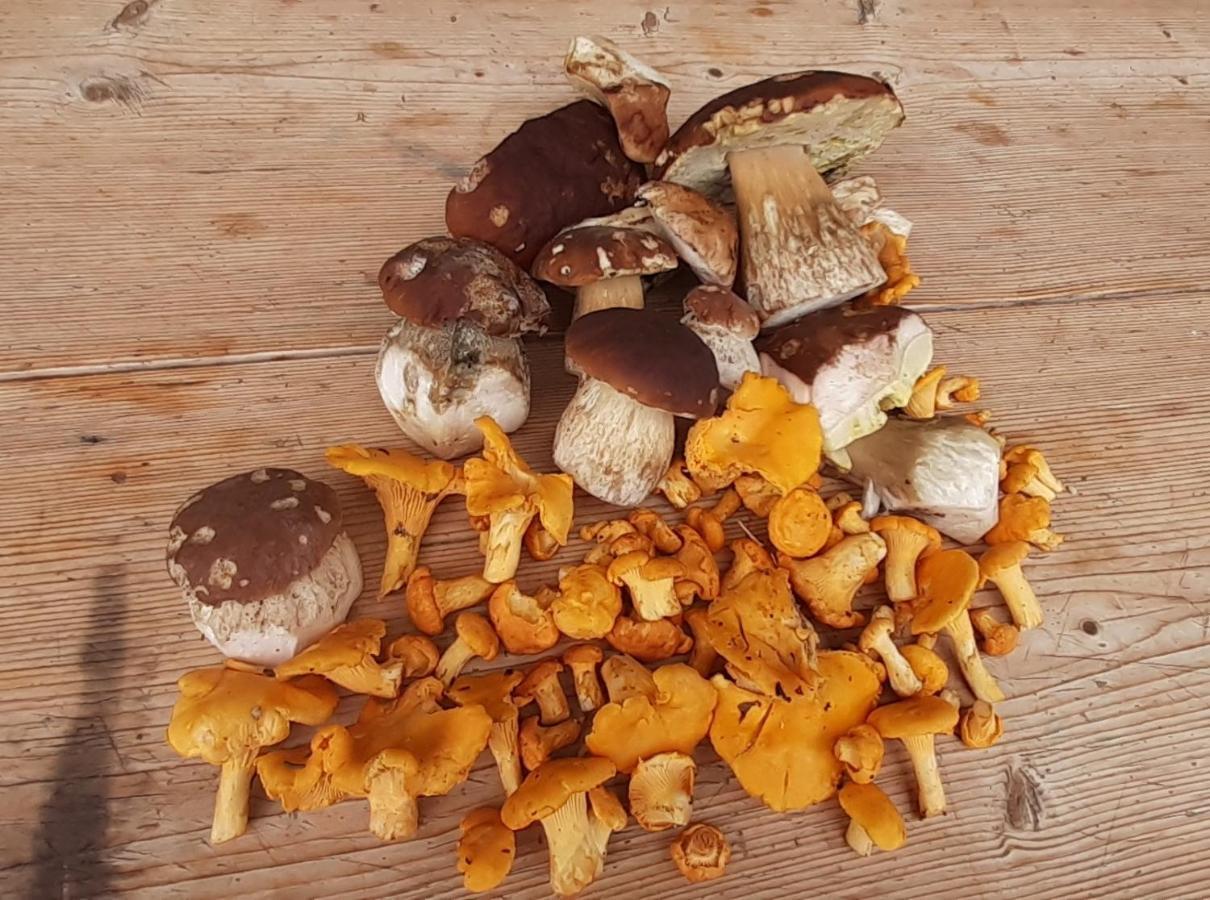 Fewo Niederndorferberg 外观 照片